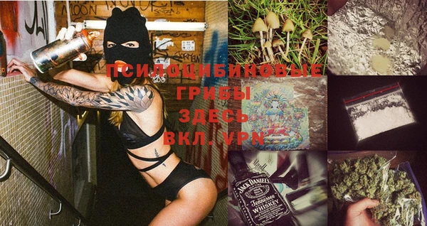 первитин Бородино