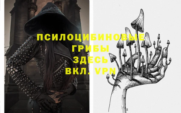 первитин Бородино