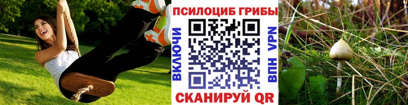 сайты даркнета какой сайт  Нижний Новгород  Галлюциногенные грибы ЛСД 